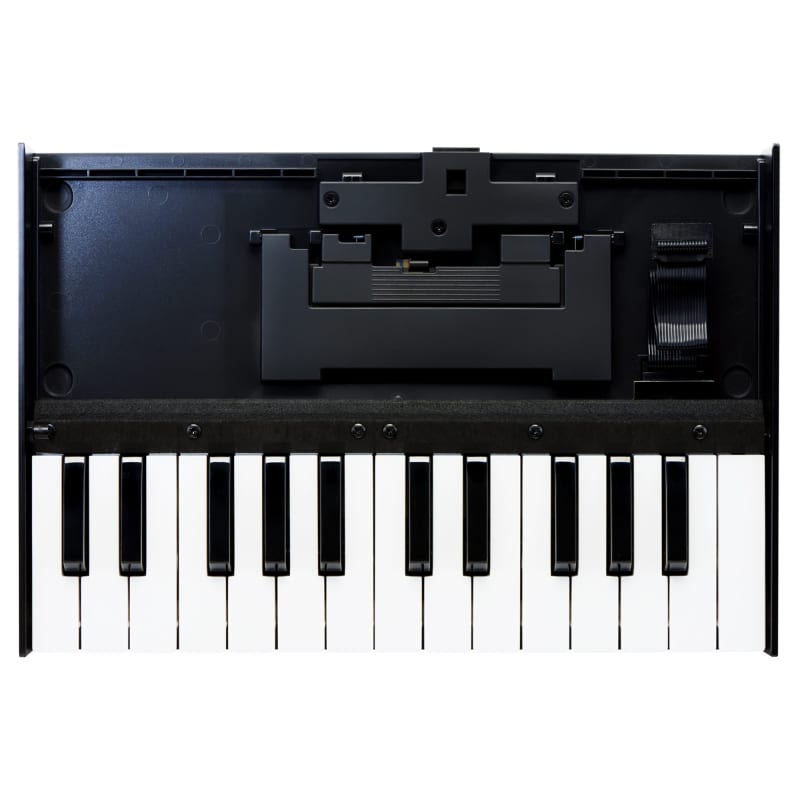 Roland Boutique K-25m Portable Keyboard - new Roland              Keyboard