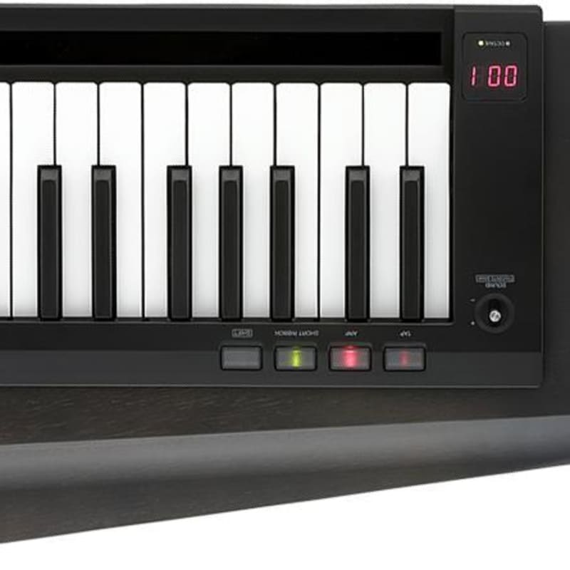 2020 Korg RK100S2BK - New Korg     Midi    Controller