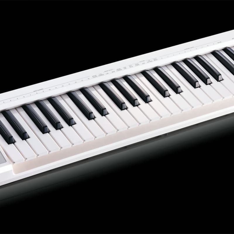 Roland A-49-WH Pearl White - New Roland  Keyboard   Midi    Controller