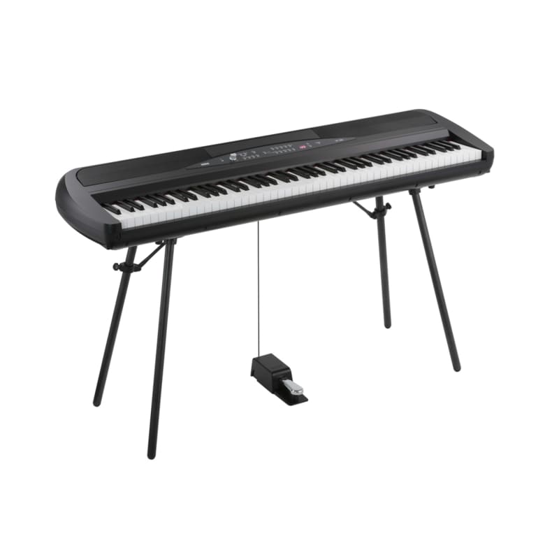 Korg SP-280 digital piano, Black - New Korg Piano