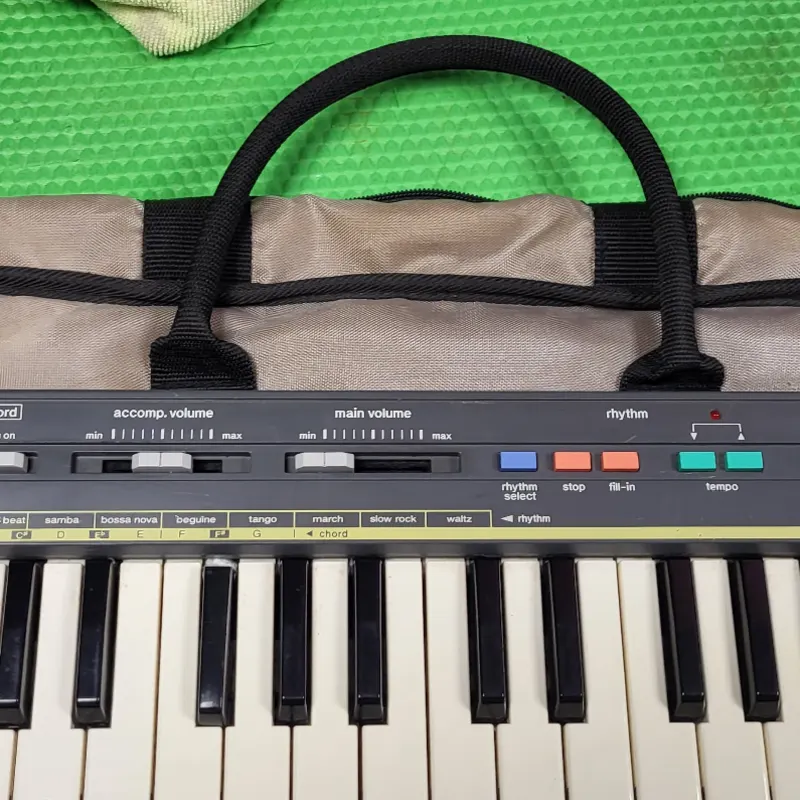 1980s Casio MT-55 Casiotone 44-Key Mini Synthesizer Silver - used Casio  Vintage Synths            Keyboard Synth