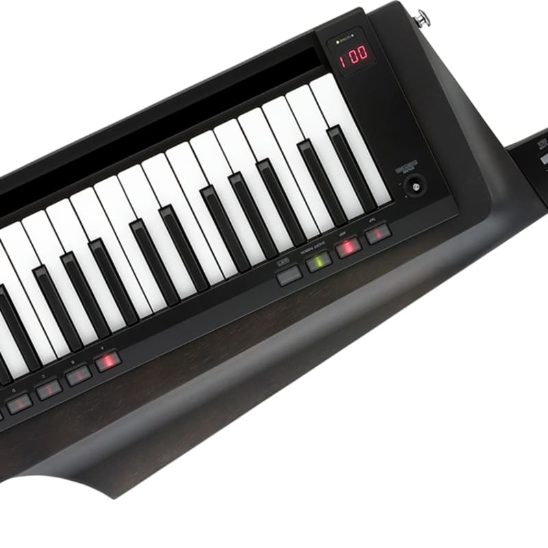 0 Korg RK100S2BK Black - new Korg              Keyboard