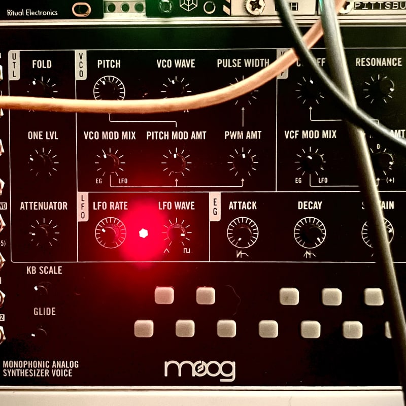 2022 - Present Moog Mavis Monophonic Analog Synthesizer Voice ... - used Moog            Analog Modular  Synth