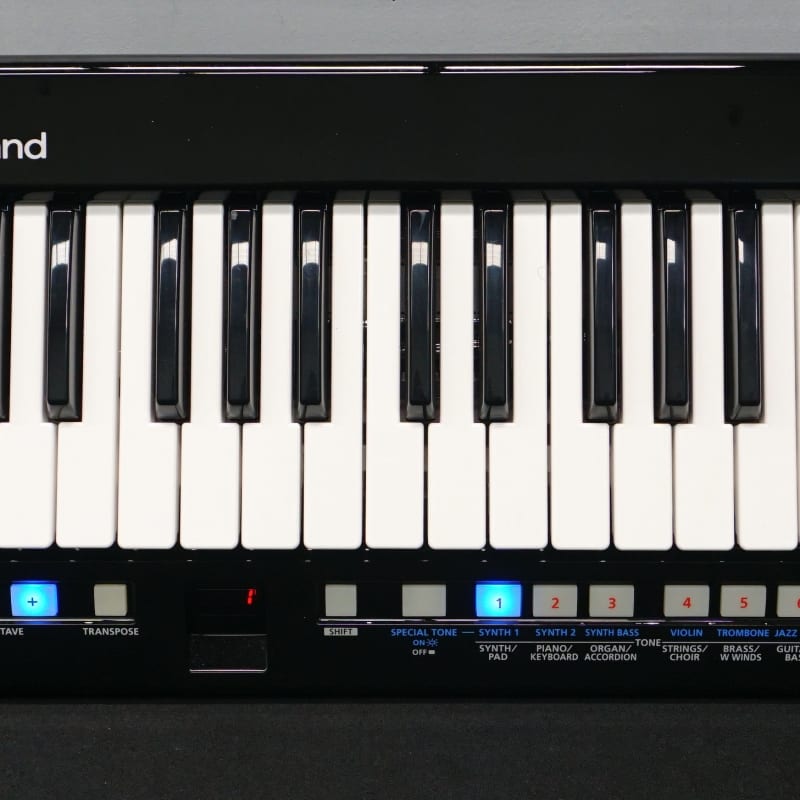 Roland AX-09 Black Sparkle - Used Roland     Midi        Synth