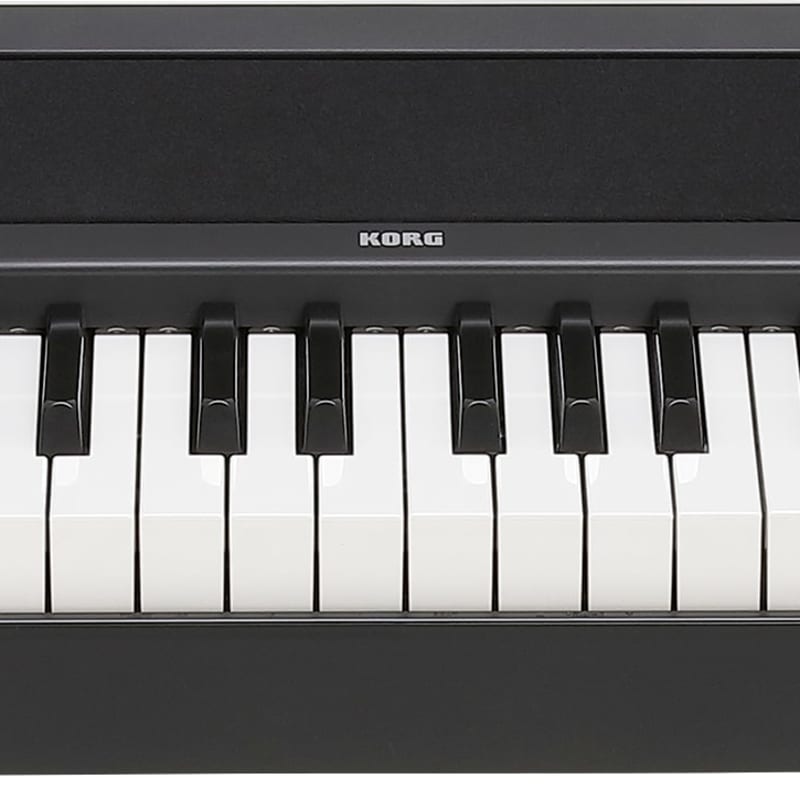 2019 - Present Korg B2N-BK 88-Key Light Touch Digital Piano Black - new Korg       Digital Piano       Keyboard