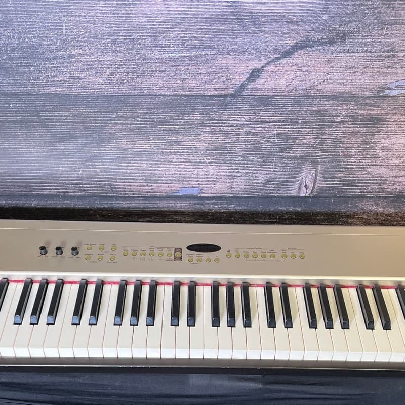 Roland FP 5 - used Roland    Digital   Digital Piano