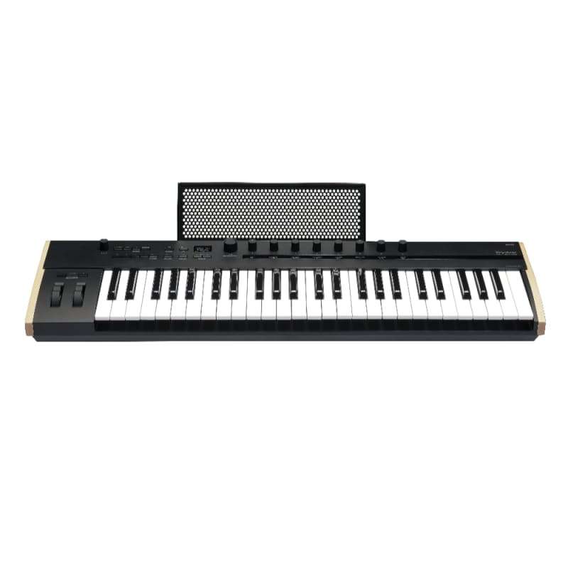 Korg Keystage 49 MIDI-Controller with Polyphonic Aftertouch - new Korg              Keyboard