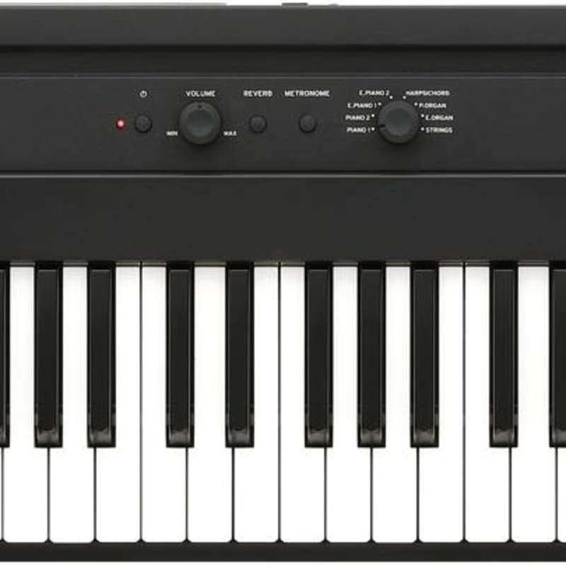 2022 Korg L1 - new Korg    Digital   Digital Piano