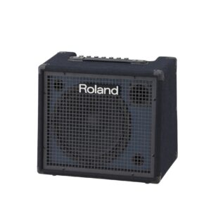 Roland KC-200 Keyboard Amplifier