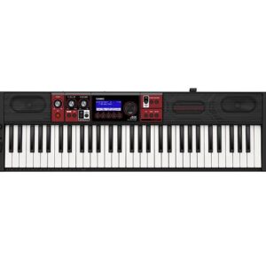 Casio CT-S1000 61 Key Keyboard in black