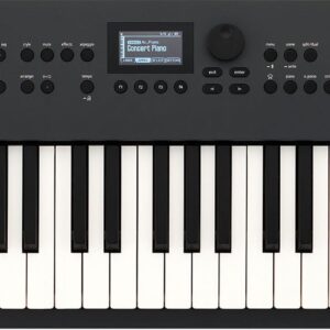 Roland Go Keys 5 - 61 Key Keyboard In Graphite