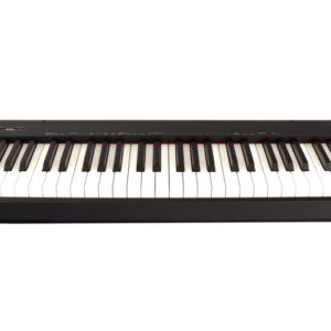 Second Hand Casio CSP-S110 Digital Piano 148