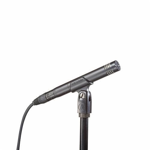 Audio-Technica AT2031 Cardioid Condenser Microphone