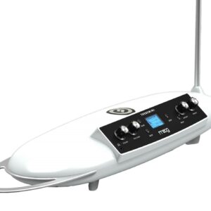 B Stock : Moog Theremini 007
