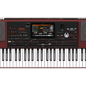 Korg Pa1000 Professional Arranger