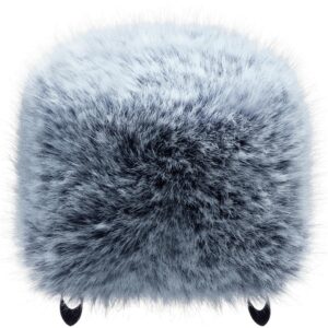 Tascam Windscreen for Portacapture series and DR series