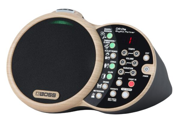 Roland DR-01S Rhythm Partner