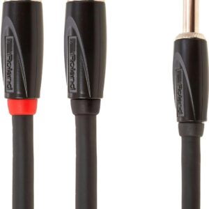 Roland 1/4” TRS Jack to Dual RCA Interconnect Cable, 10ft / 3m in Black