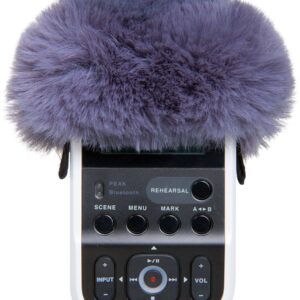 Roland R07-WS Windscreen for R-07 Portable Recorder