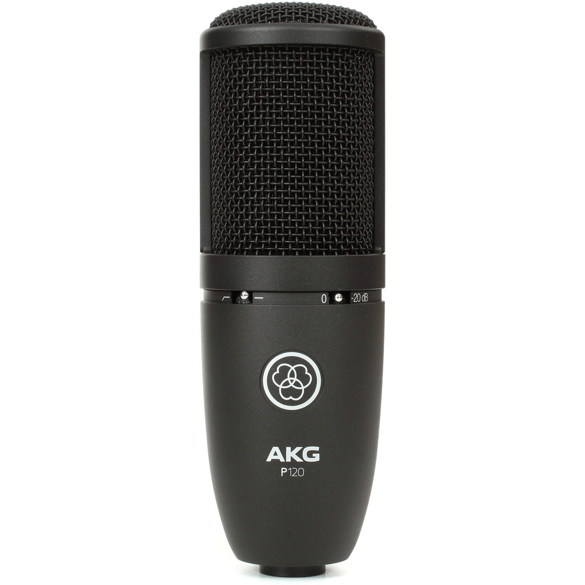 AKG P120 Large Diaphragm Condenser Microphone