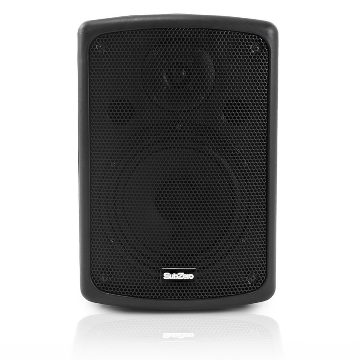 SubZero 100W 8'' Passive PA Speaker