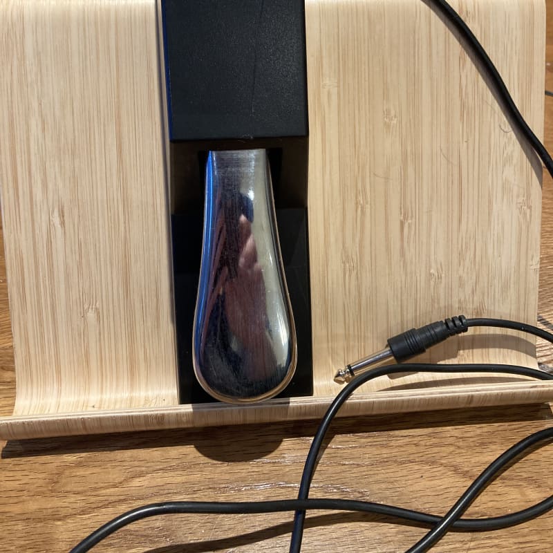 2010s M-Audio SP-2 Piano-Style Keyboard Sustain Pedal Black/Ch...