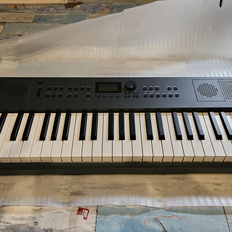 2024 - Present Roland GO:KEYS 5 61-Key Music Creation Keyboard...