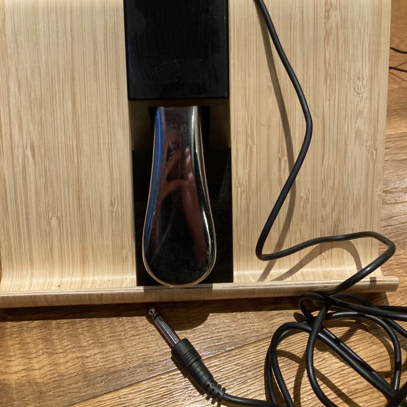 2010s M-Audio SP-2 Piano-Style Keyboard Sustain Pedal Black/Ch...