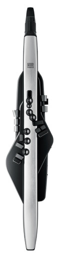 Roland AE-30 Aerophone Pro Digital Wind Instrument