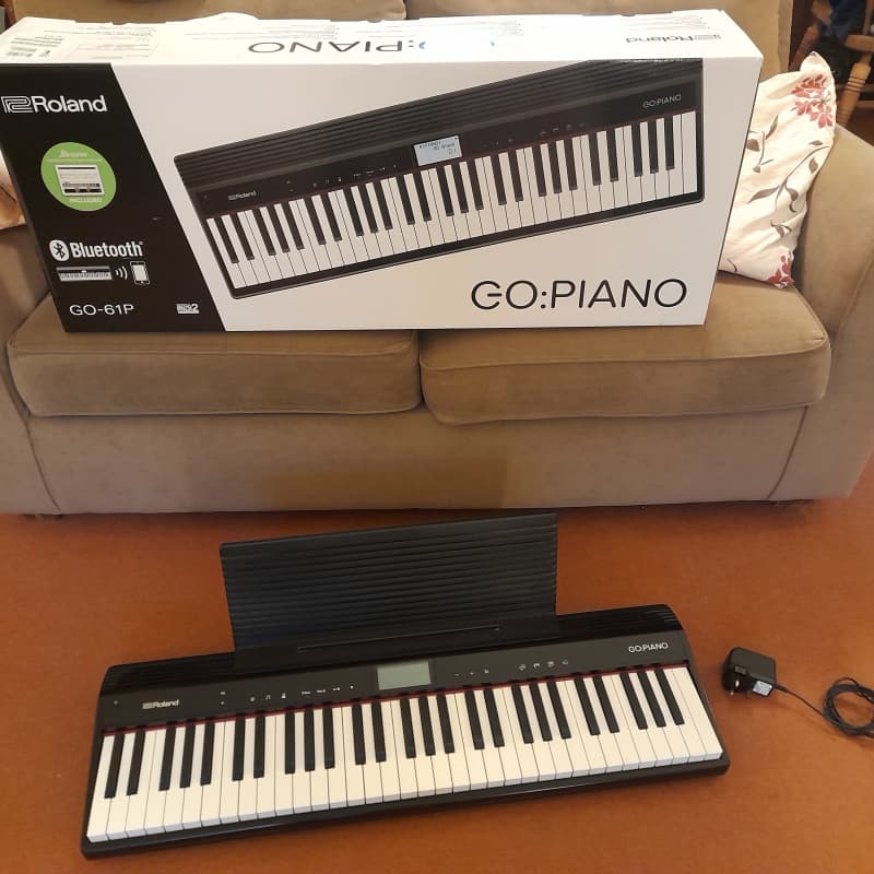 2017 - Present Roland GO-61P GO:PIANO 61-Key Digital Piano Black