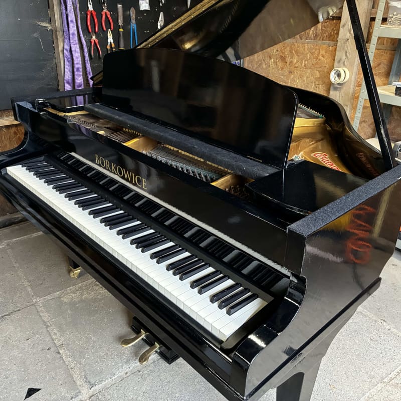 Luxury Eco Pianos Digital Baby Grand Piano Gloss