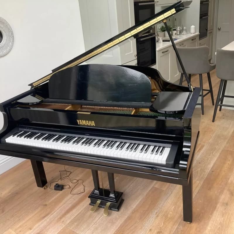 Luxury Eco Pianos Digital Baby Grand Piano Gloss