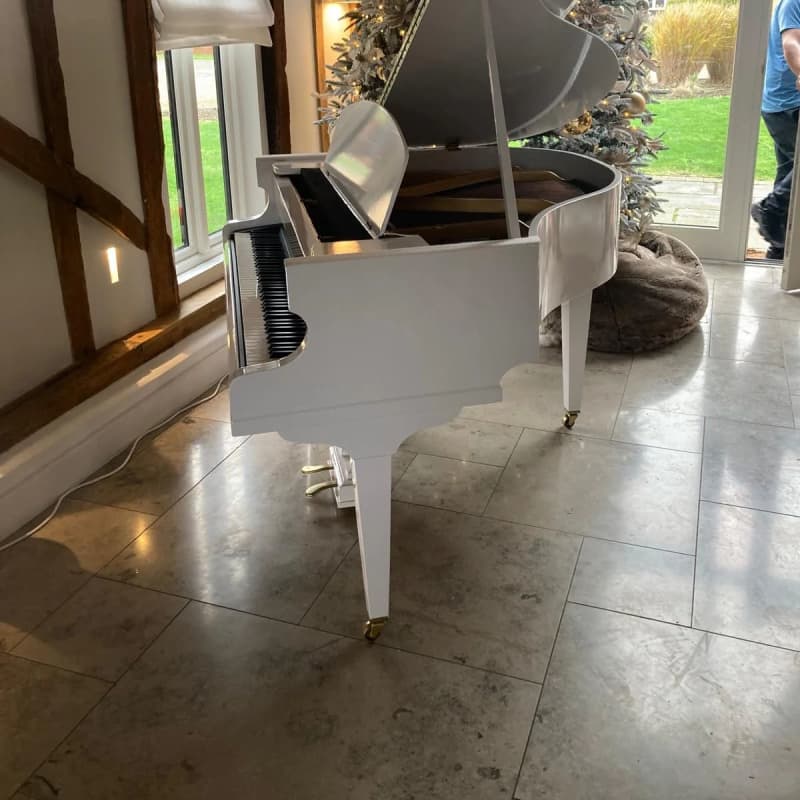 2025 Luxury Eco Pianos Digital Baby Grand Piano White