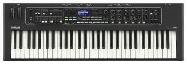 B Stock : Yamaha CK61 61 Key Future System Basic Keyboard 0007
