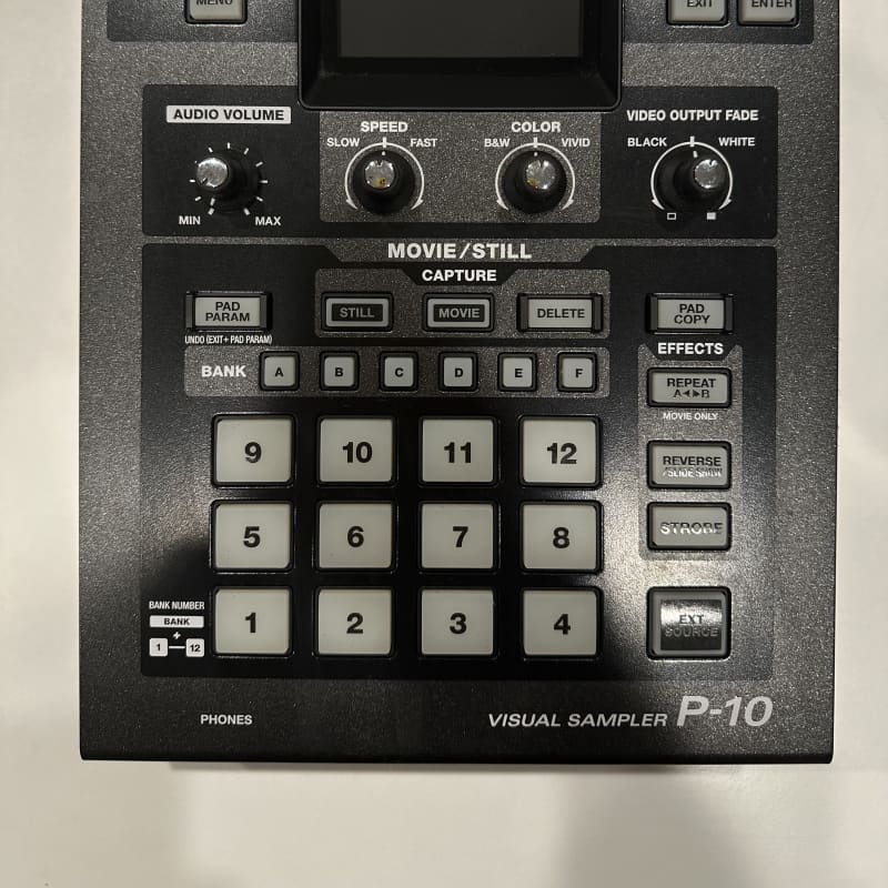 2005 Roland Edirol P-10 Visual Sampler Black