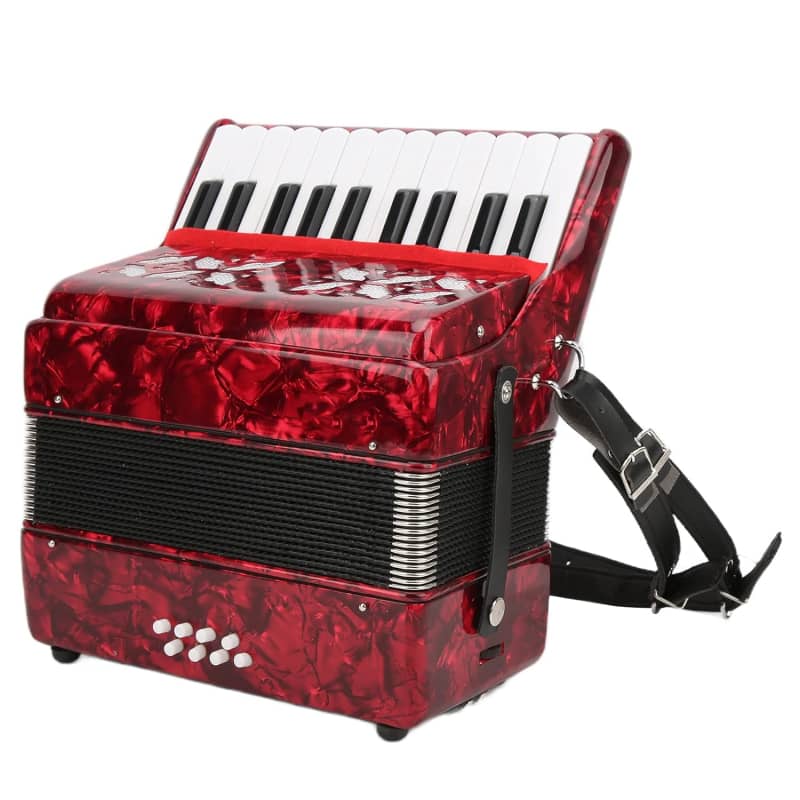 2025 Unbranded Accordion, Piano Accordion 8 Bass 22 Key Accord...