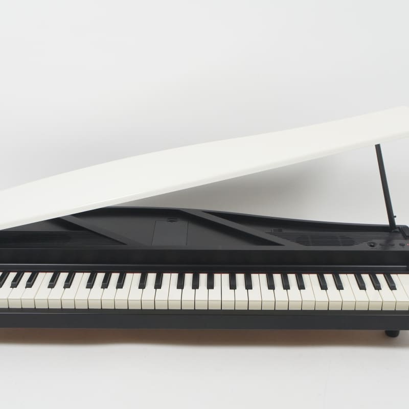 2020's Korg Micro piano White
