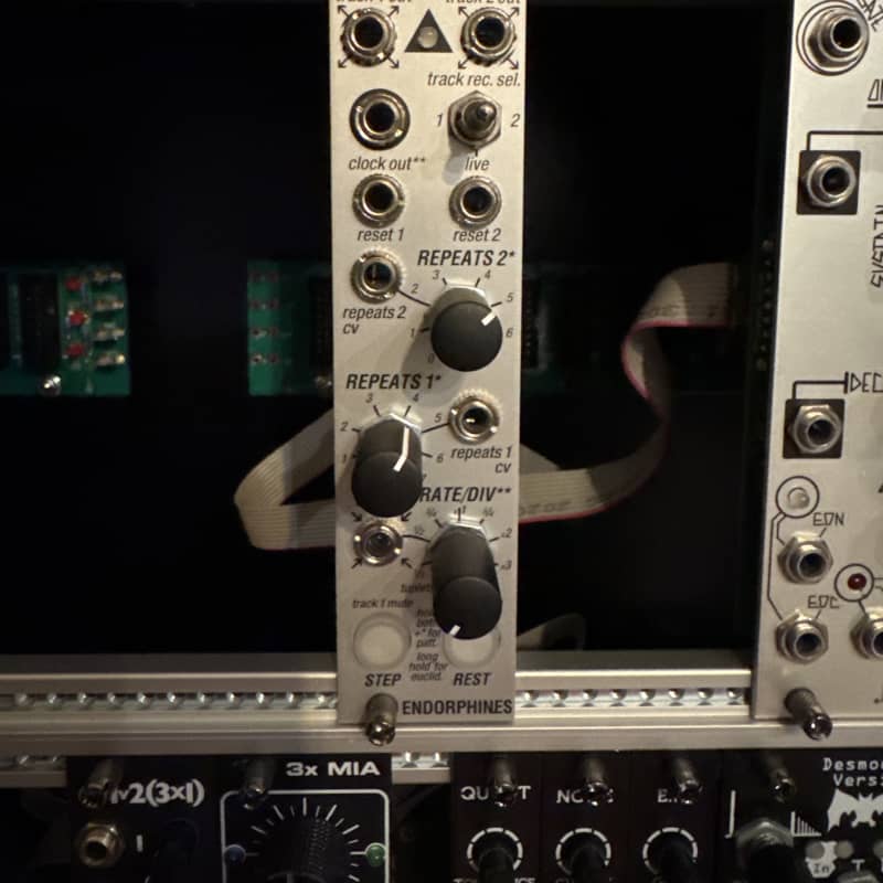 2020 - Present Endorphin.es Running Order Eurorack Synth Modul...