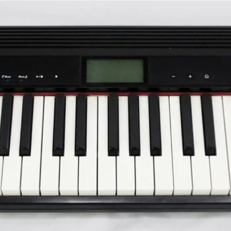2017 - Present Roland GO-61P GO:PIANO 61-Key Digital Piano Black