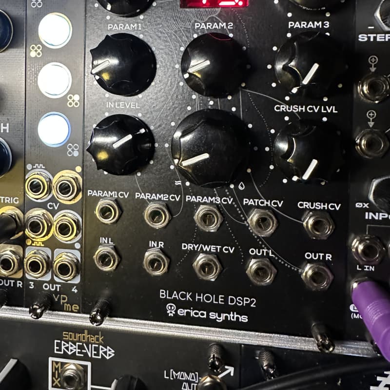 2014 - Present Erica Synths Black Hole DSP 2 Black