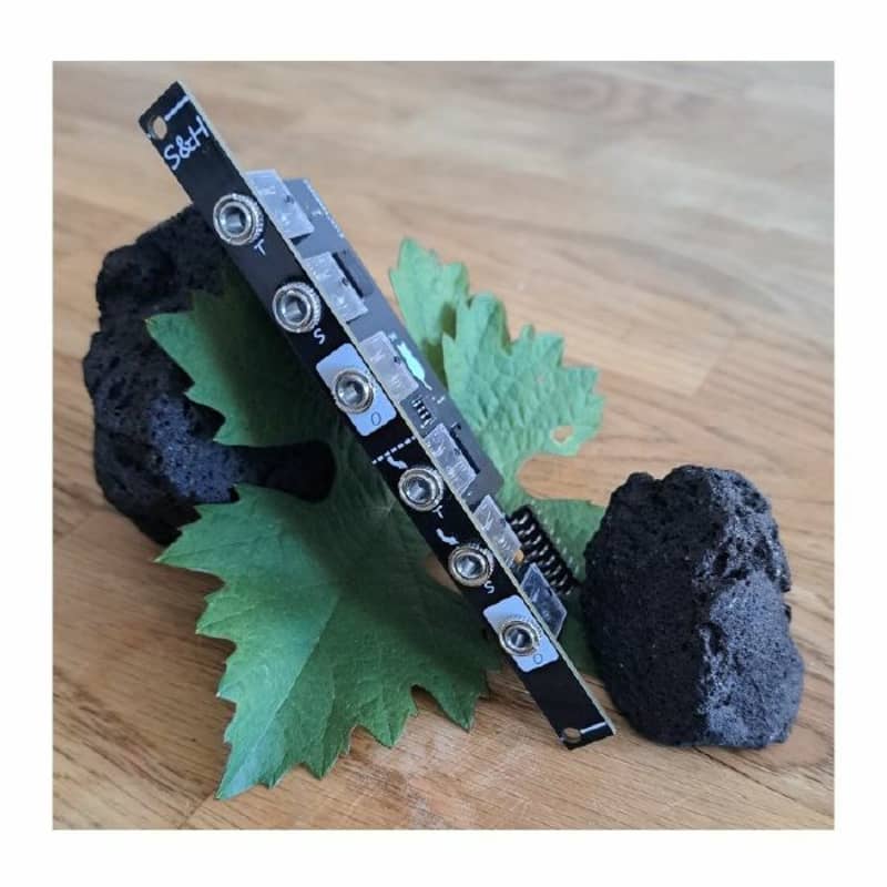 CatSynth CatSynth Slimline Dual Sample & Hold Module Synth