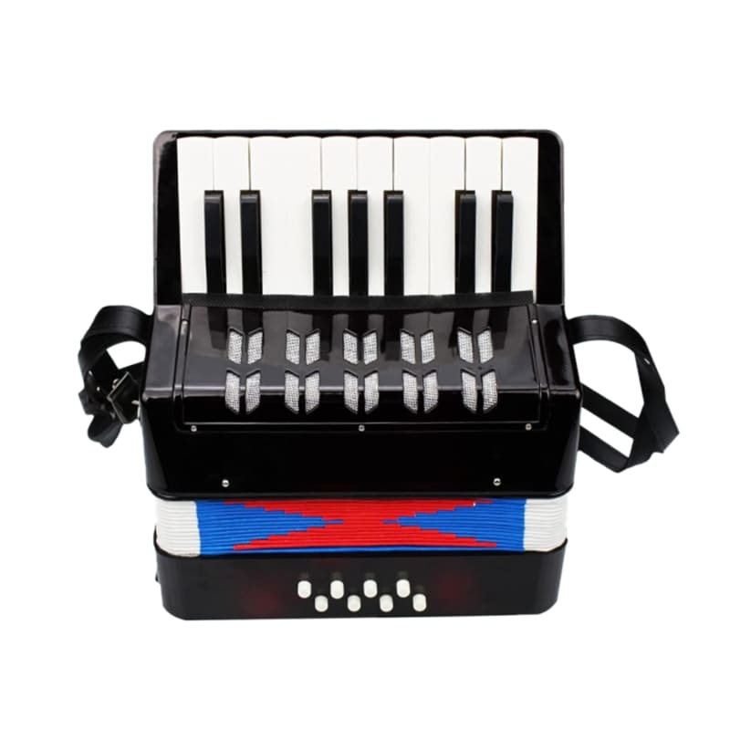 2025 Unbranded Accordion 17 Keys 8 Bass Piano Musical Instrume...