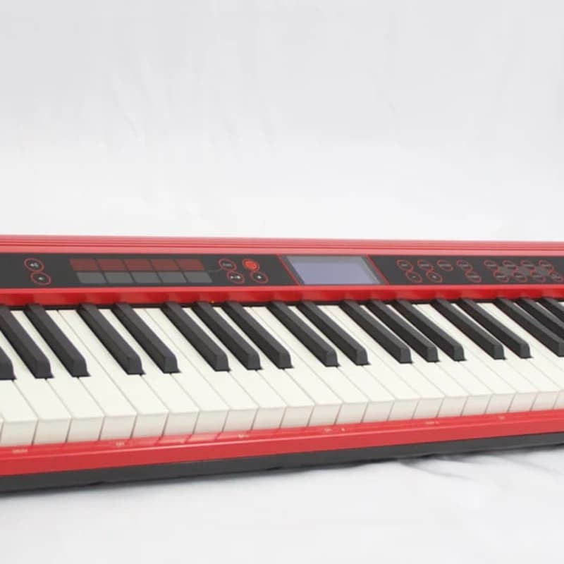 2017 - Present Roland GO-61P GO:PIANO 61-Key Digital Piano Black