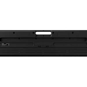 Casio LK-S250C5 61-Note Touch Sensitive Portable Lighted-Key Learning Keyboard - Image 4