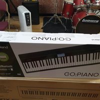 2017 - Present Roland GO-61P GO:PIANO 61-Key Digital Piano Black