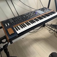 2021 - Present Arturia PolyBrute 61-Key Synthesizer Black