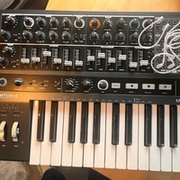 2018 - Present Arturia MiniBrute 2 25-Key Synthesizer Black