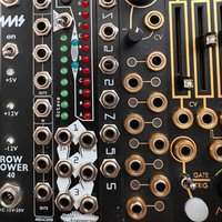 2018 - Present Noise Engineering Soleo Vero Black used