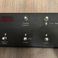 2010s RJM Mastermind MIDI Foot Controller Black used