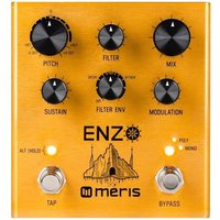 Meris child-3755 Synth new